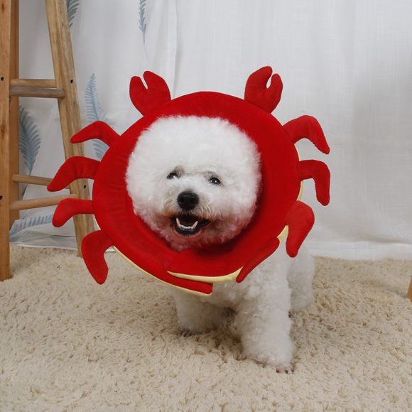 Pet Protection Collar Collar Flower Protection Collar Pet Grooming Kits Dog Bite Ring Birth Control - Image 3