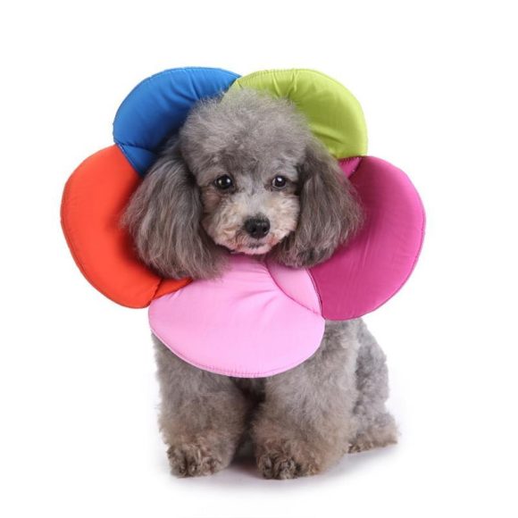 Pet Protection Collar Collar Flower Protection Collar Pet Grooming Kits Dog Bite Ring Birth Control - Image 4