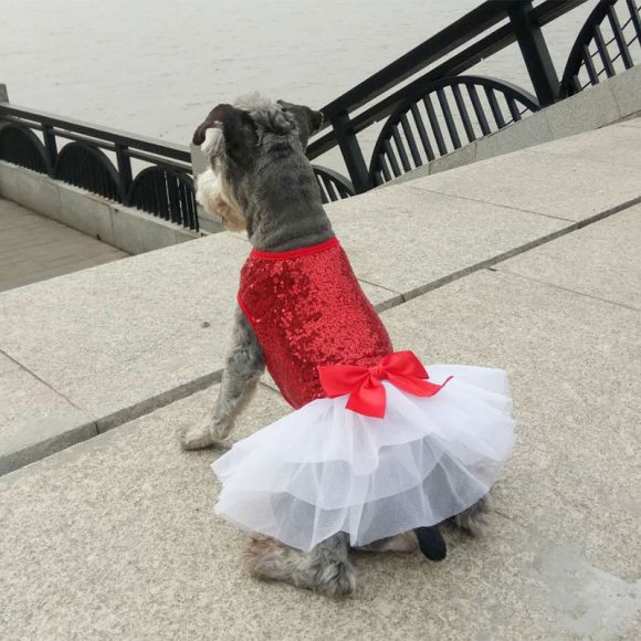 Pet Clothing Dog Clothes Pet Skirt - Image 5