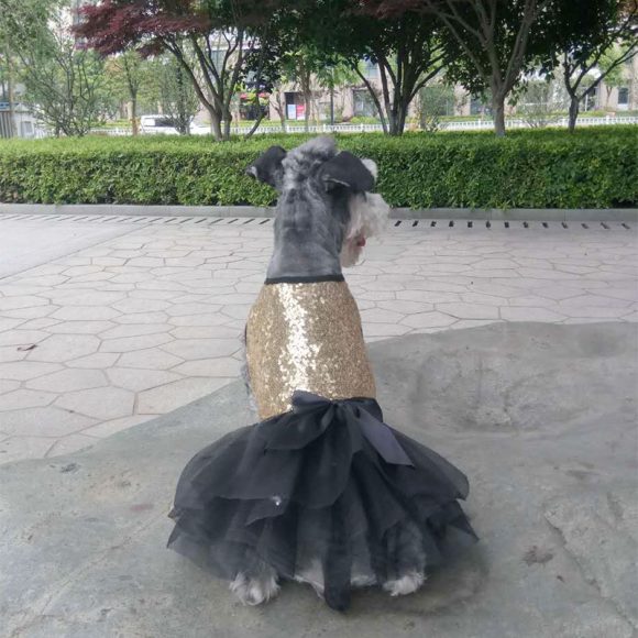 Pet Clothing Dog Clothes Pet Skirt - Image 2