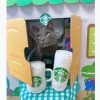 South Korea Cute Star Cat Work Clothes Dog Clothes - Image 5