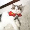 Pet collar - Image 6