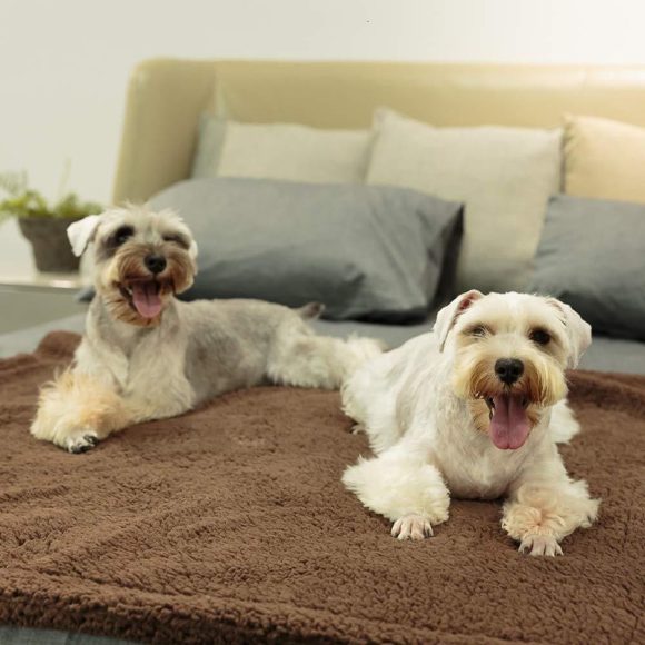 Plush Pet Blanket Dog Mat Cat Mat Pet Air Conditioning Mat Pet Plush Mat - Image 4