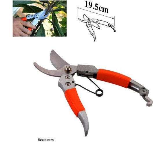 Mini Bonsai Tools Gardening Hand Tools Kit with Tote Bag Elbow Branch Nail Rake Spade Spraying Pot for Gardeners - Image 2