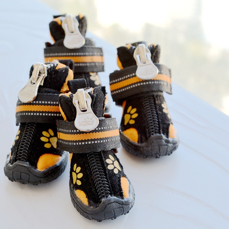 Pet Shoes & Socks