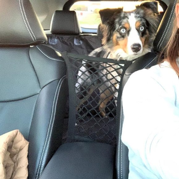 Pet Products Amazon Popular Car Pet Isolation Net Car Back Isolation Net Pet Products In Stock - Image 3