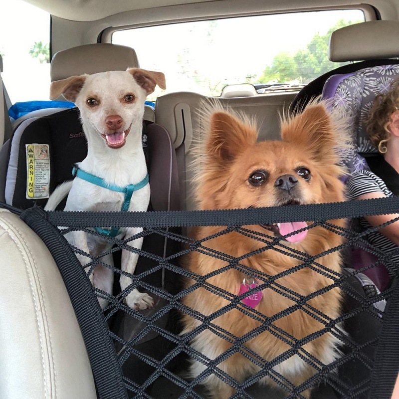 Pet Guardrails