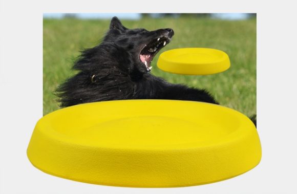 Pet Dogs Throwing Plastic Toys - Image 2