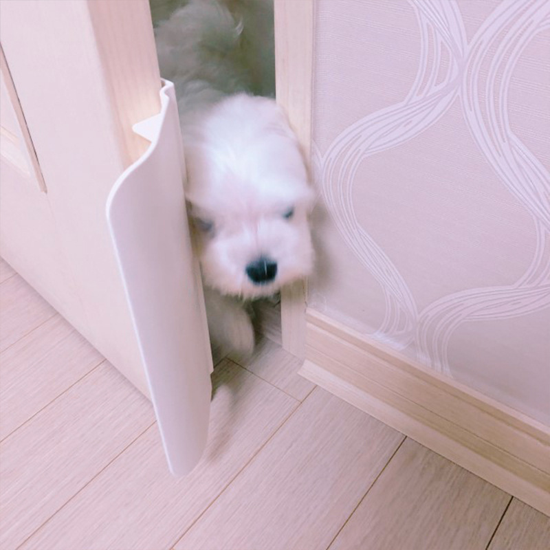 Pet Furniture Protectors