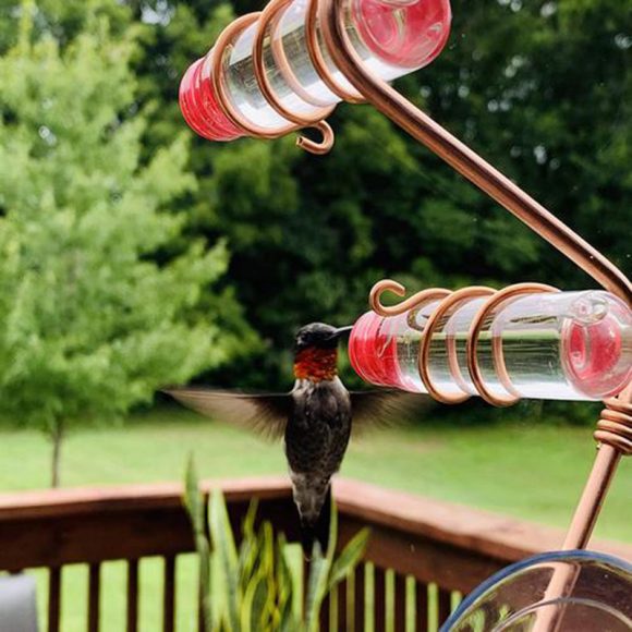 Garden Bird Feeder Supplies Hummingbird Feeder Drinker Suction Cup Easy To Clean Deck Garden Decor Bird Feeders for Wild Birds - Image 9