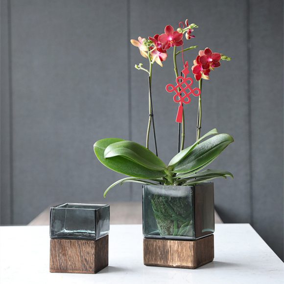 Wood Color Tansparent Glass Vase Combination Flower Arrangement - Image 4