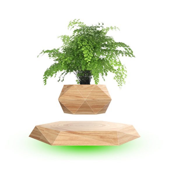 Magnetic Floating Bonsai Floating Plant Rack, Fashion Creative Gifts, Christmas Or Birthday Gifts - Image 4