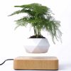 Magnetic Floating Bonsai Floating Plant Rack, Fashion Creative Gifts, Christmas Or Birthday Gifts - Image 3