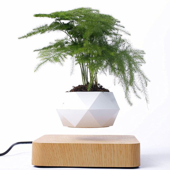 Magnetic Floating Bonsai Floating Plant Rack, Fashion Creative Gifts, Christmas Or Birthday Gifts - Image 3