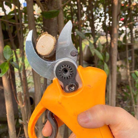 Gardening Fruit Tree Garden Branch Shears Handheld Electric Lithium Battery Electric Scissors - Image 5