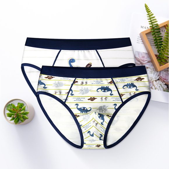Boy's Underwear Boxer Cotton Children's Underwear - Image 3