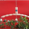 Tiger Skin Peony Xuan Little Sun Monk Gnaws And Relieves Boredom Swing Ladder Springboard Cage Toy Bell Wood Color - Image 2