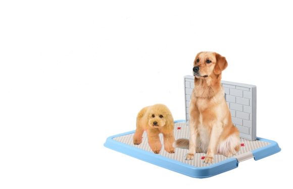 Dog Toilet Puppy Dog Supplies Teddy Dog Urinal Potty Golden Hair Puppies - Image 6