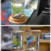 Small Office Glass Aquarium Bamboo Base Mini Fish Tank Decoration Fish Bowl - Image 6