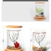 Small Office Glass Aquarium Bamboo Base Mini Fish Tank Decoration Fish Bowl - Image 4