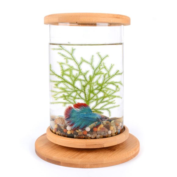 Small Office Glass Aquarium Bamboo Base Mini Fish Tank Decoration Fish Bowl - Image 3