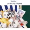 Dog Clothes Summer Thin Small Dog Dress Pet Clothes - Image 2
