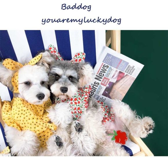 Dog Clothes Summer Thin Small Dog Dress Pet Clothes - Image 2
