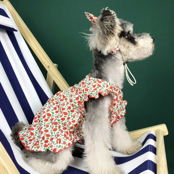 Dog Clothes Summer Thin Small Dog Dress Pet Clothes - Image 3