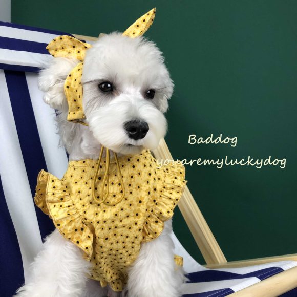 Dog Clothes Summer Thin Small Dog Dress Pet Clothes - Image 4