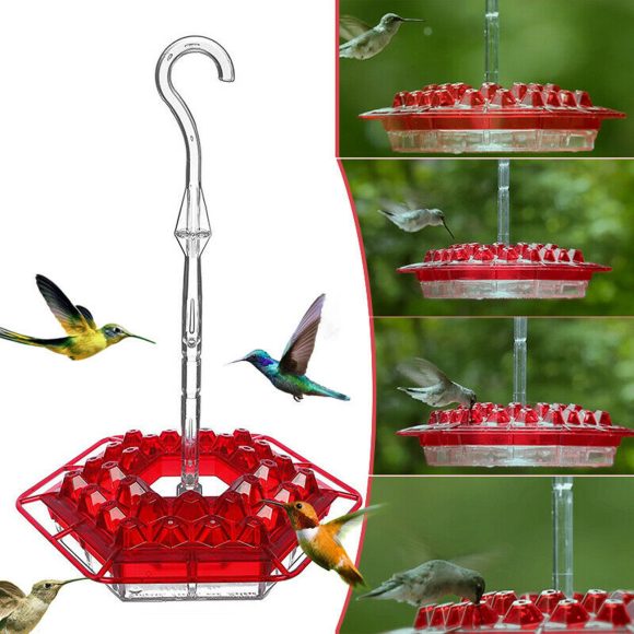 New Flower Hexagonal Bird Feeder Sensation Coneflower Bird Feeder - Image 2