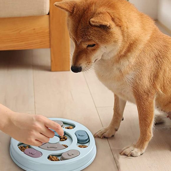 Manufacturers Stock Household Pets Dog Puzzle Feeding Bowls Dog Puzzles Feeding Bowls - Image 4