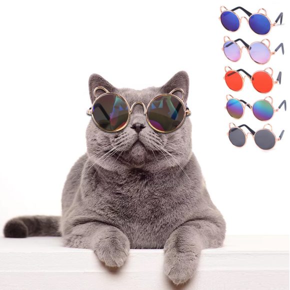 Cat Cute Sunglasses Dog Teddy Sunglasses - Image 6