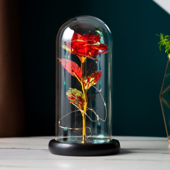 Preserved Flower Glass Cover Gold Foil Rose Flower Mothers Day Valentines Day Birthday Gift Gift Decoration Cross-Border Amazon - Image 3