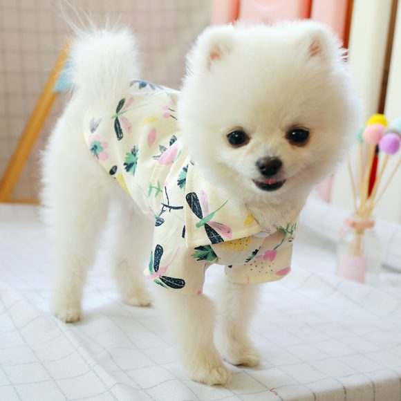 Small dog than the bear pomei thin summer cute shirt - Image 3