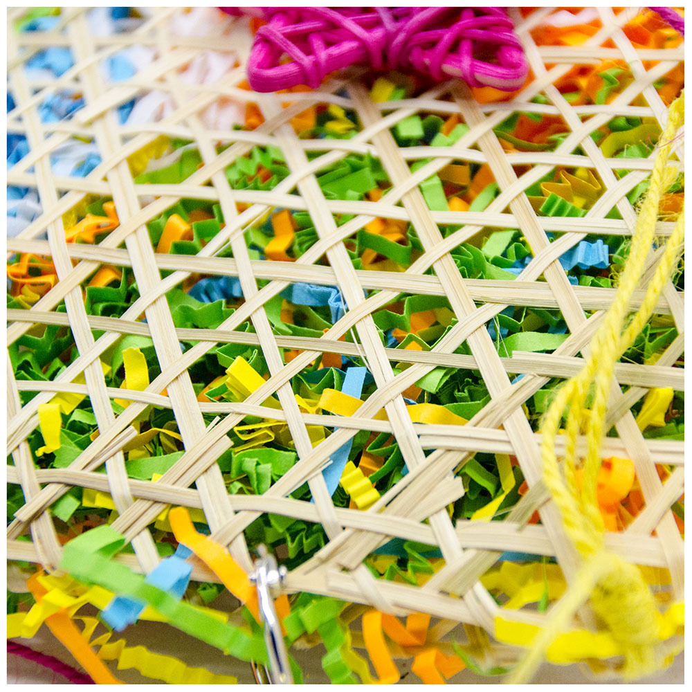 Bird Toys