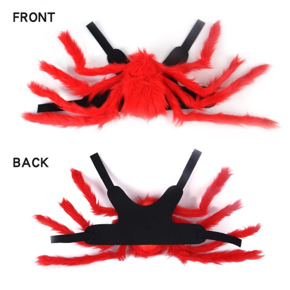 Pet Cat Dog Halloween Creative Spider Costume - Image 6