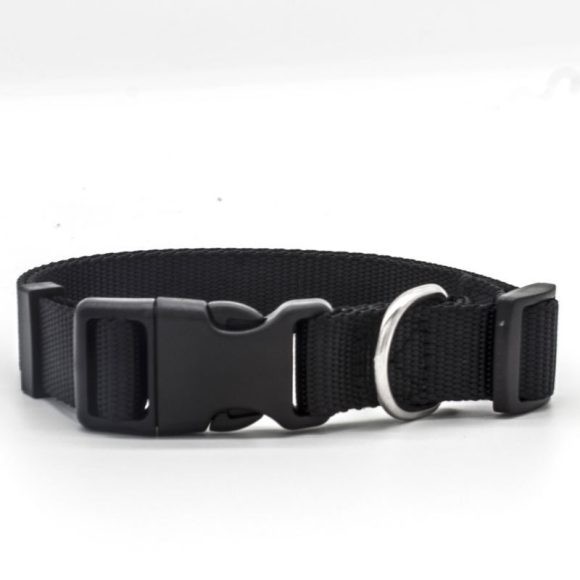 New Pet Collar - Image 3
