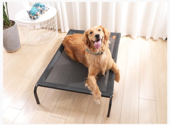 Removable and washable pet bed - Image 4
