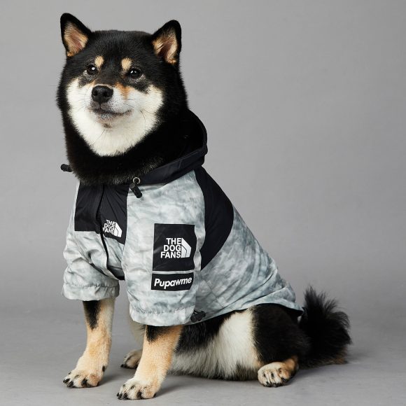 Dog Noodles New Dog Large Dog Dog Pet Shell Jacket - Image 3