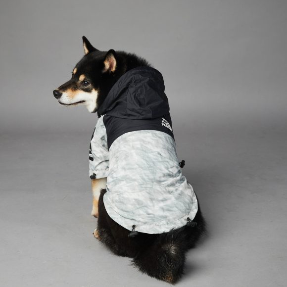 Dog Noodles New Dog Large Dog Dog Pet Shell Jacket - Image 4