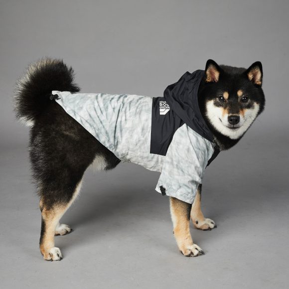 Dog Noodles New Dog Large Dog Dog Pet Shell Jacket - Image 10