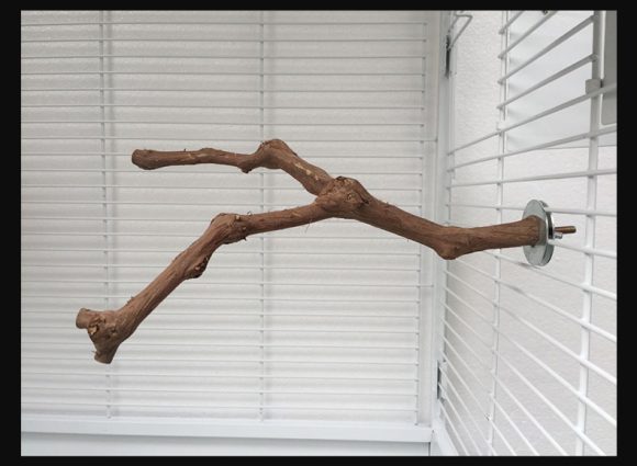 Add a stand pole to the cage for parrot birds - Image 3