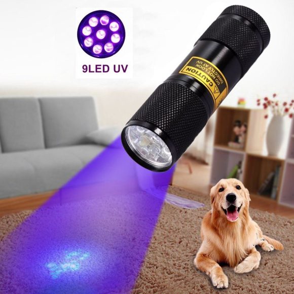 21LED violet flashlight LED violet UV UV Flashlight counterfeit flashlight - Image 3
