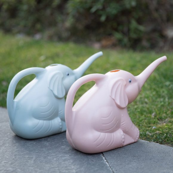 Baby elephant watering flowers - Image 3