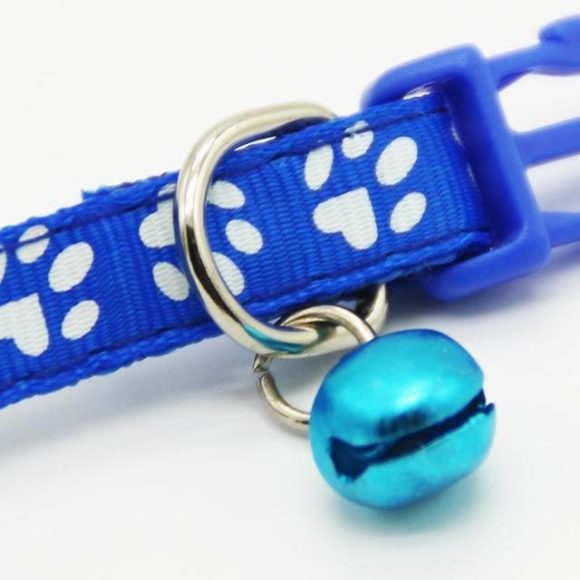 The pet cat wears a bell collar - Image 8