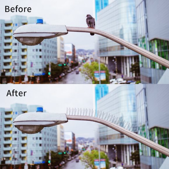 Bird repellent and bird thorn repellent - Image 3