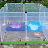 Pet transparent fence