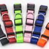 New Pet Collar