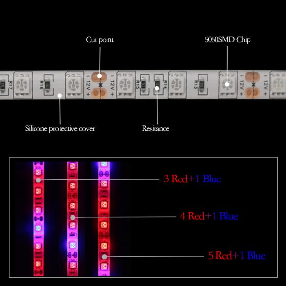 5050Led plant growth soft light bar 5M - Image 4