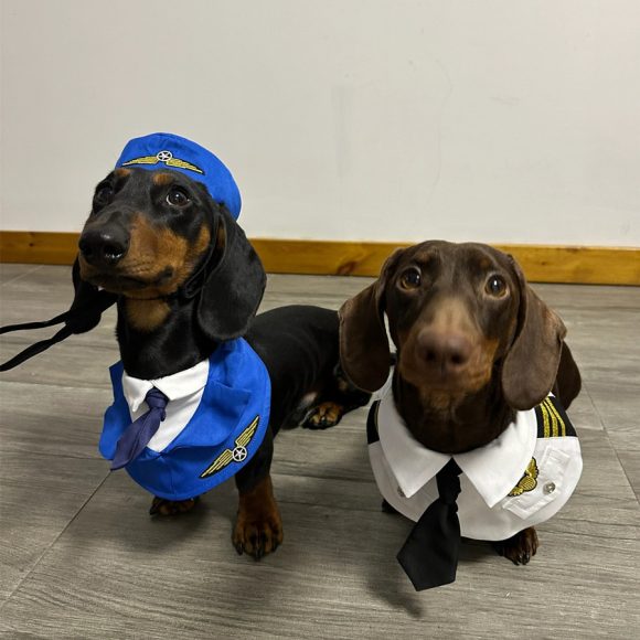 Dachshund Dog Funny Clothes Halloween Suit - Image 5